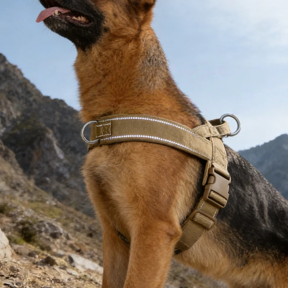 Arnés antitirones acolchado para perros grandes – Control resistente