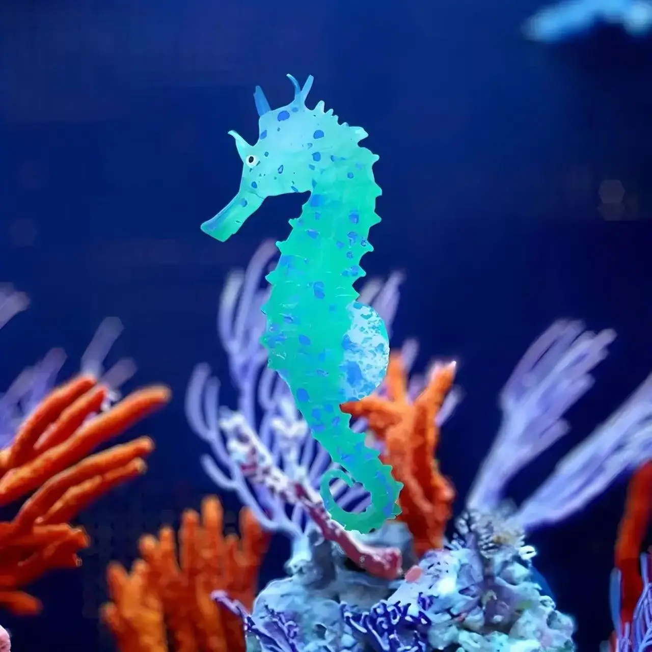 Decoración luminosa para acuario - Caballito de mar artificial - imagen 2