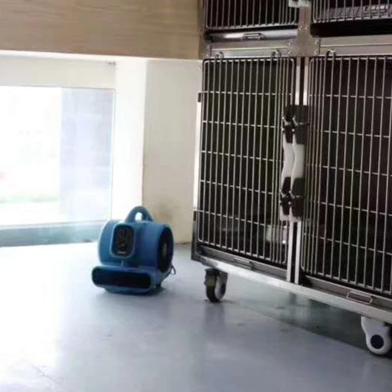 Secador de aire para mascotas de iones negativos, tienda de mascotas, soplador de aire desodorizante para perros, eliminación de olores de alta potencia, secado al suelo, producto para gatos - imagen 3