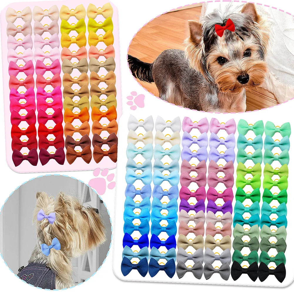 500 Uds. Lazos para perros a granel, lazos para el pelo para mascotas, bandas de goma con puntos sólidos, accesorios para el cabello para perros pequeños, aseo para perros pequeños - imagen 2