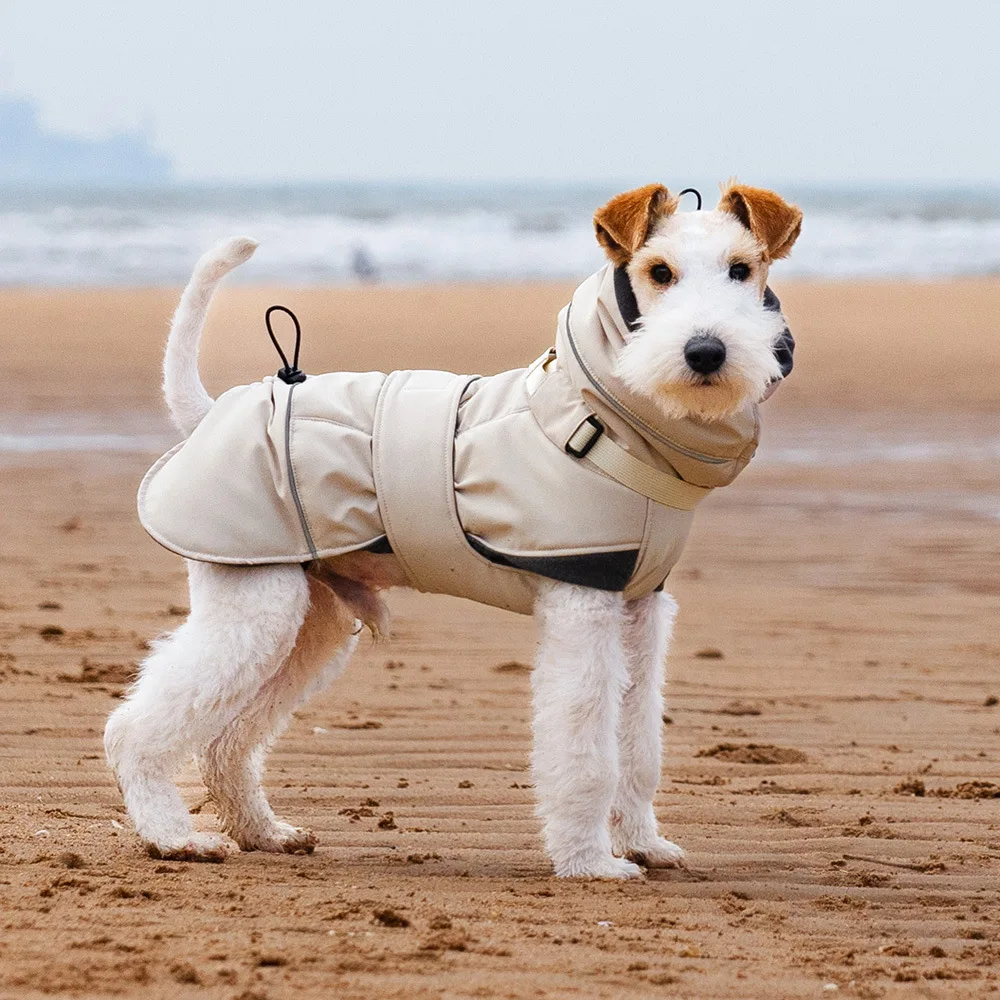 Chaqueta cálida impermeable para perros pequeños y medianos - imagen 5
