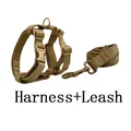 harness leash
