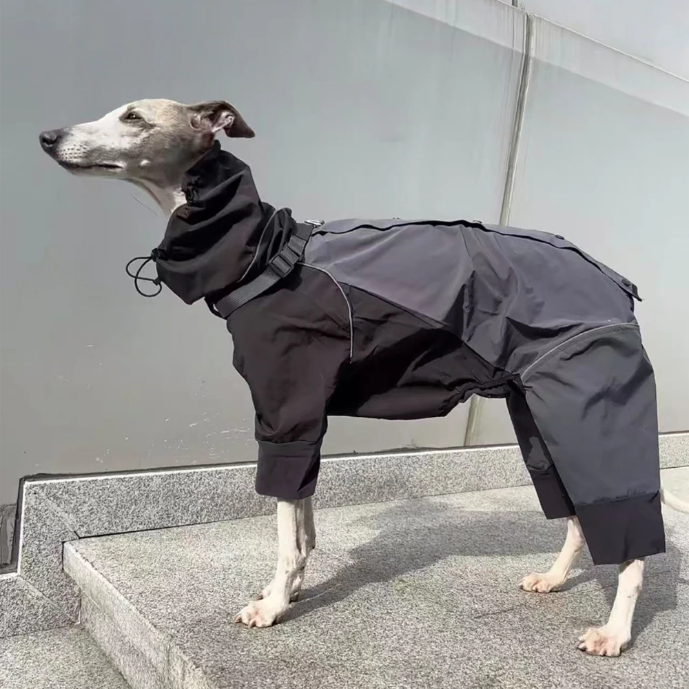 Chaqueta impermeable para perros Whippet con franjas reflectantes