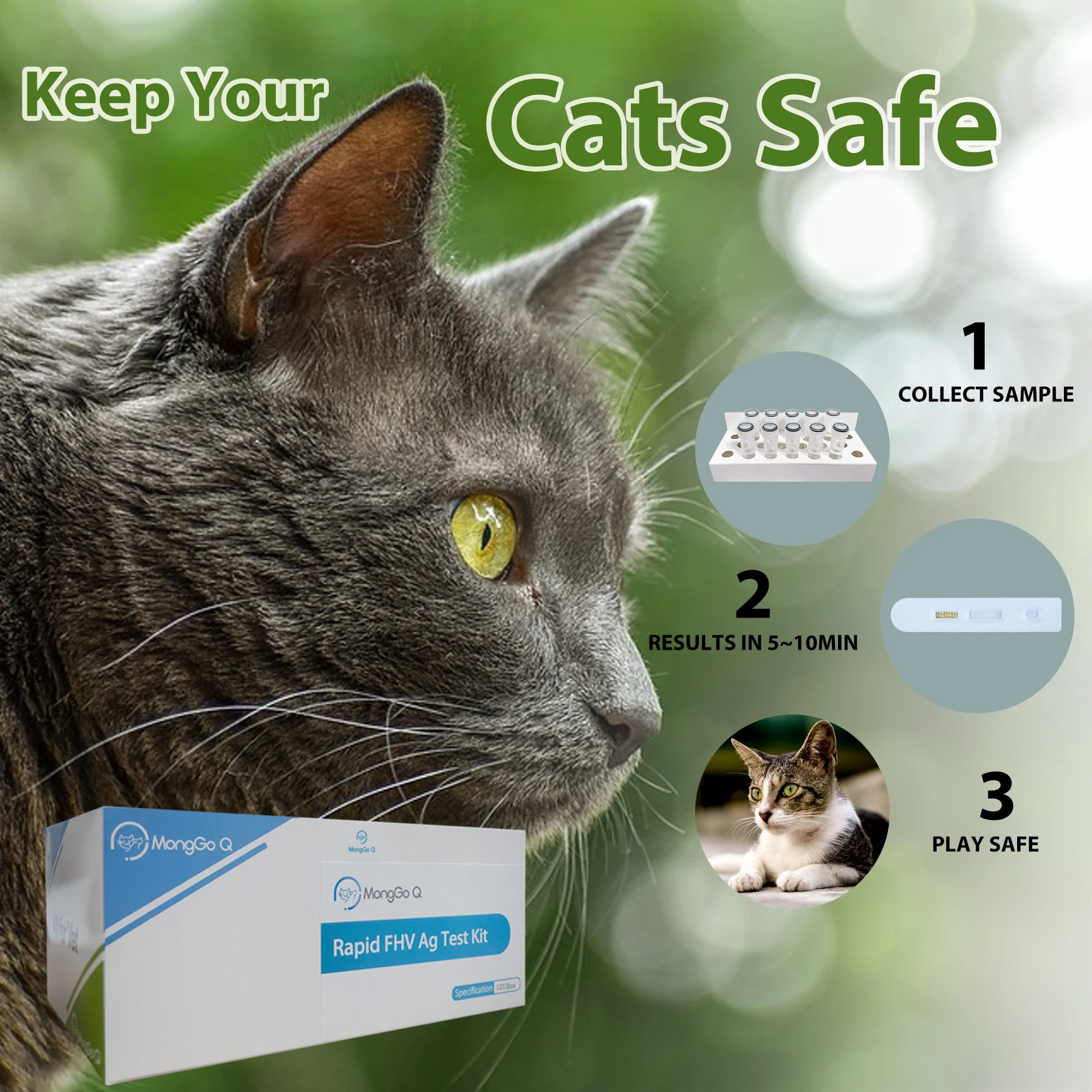 MongGo Q 10-Packed Rapid Feline Herpes FHV Ag Detección de secreciones bucales y nasales Kit de prueba para gatos, - imagen 4
