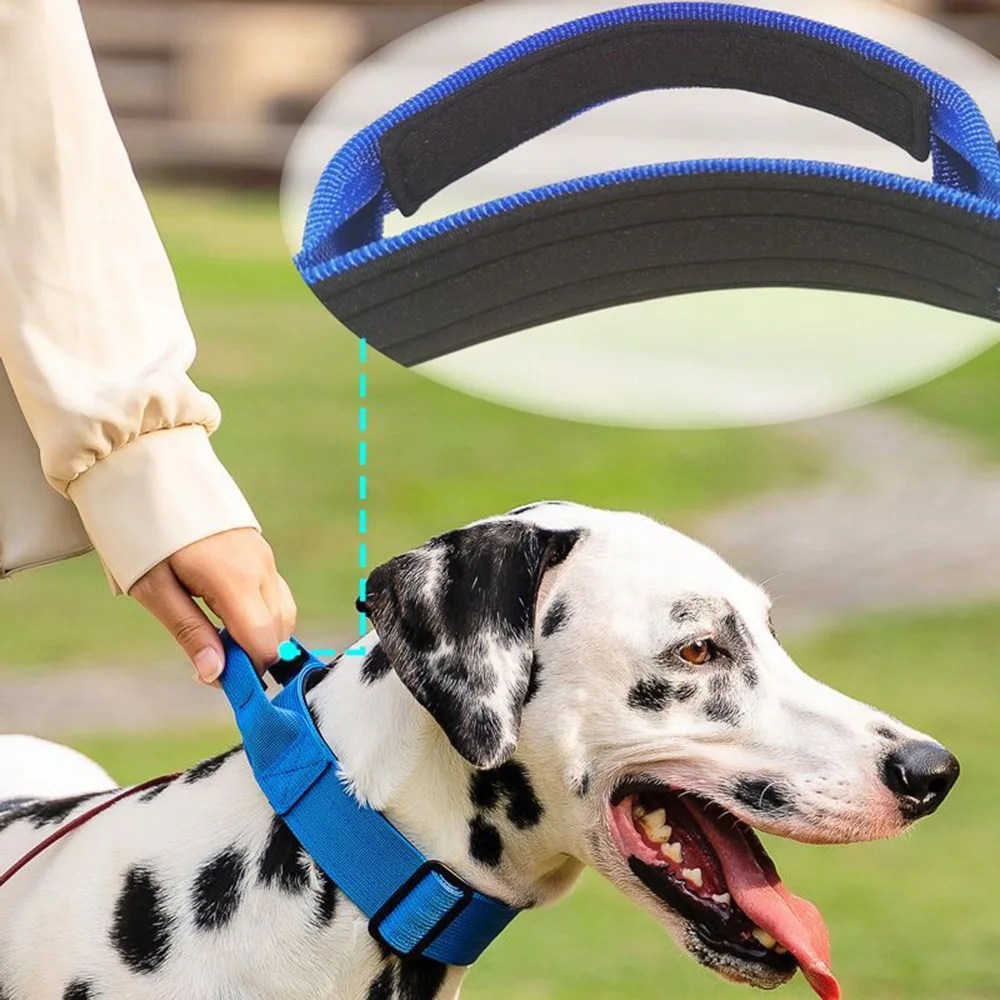 Collares para perros grandes de alta calidad con hebilla de Metal, Collar de mano para mascotas para perros medianos y grandes, accesorios para mascotas pastor alemán - imagen 4