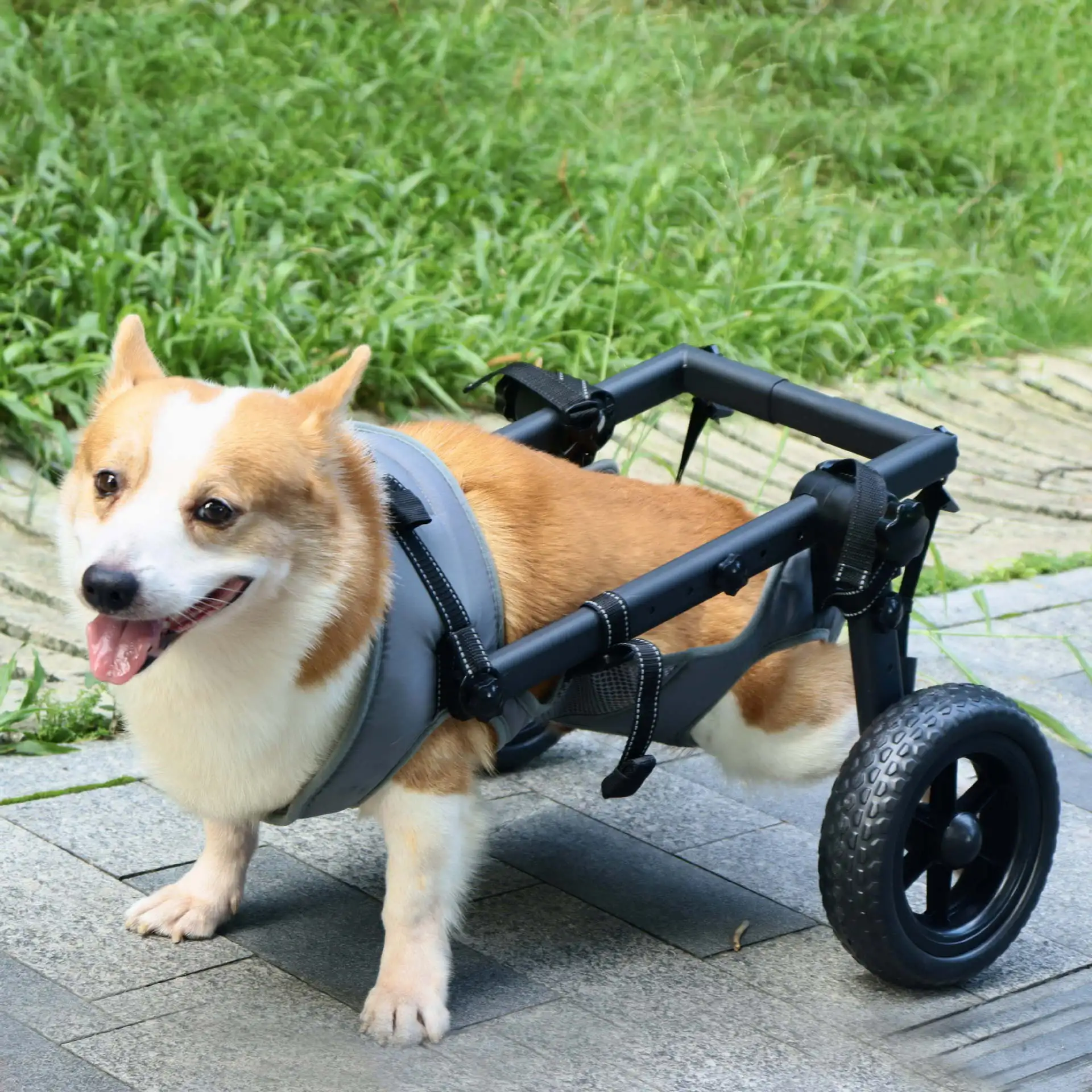 Silla de ruedas para perro – Ayuda y rehabilitación canina - imagen 3