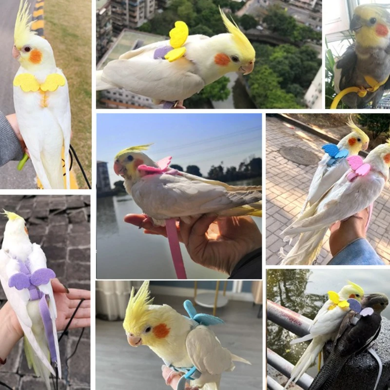 Arnés ajustable para loros y pájaros, conjunto de correa, arnés de entrenamiento antimordida, loros, cuerda voladora al aire libre, cacatúa, suministros para pájaros pequeños - imagen 3