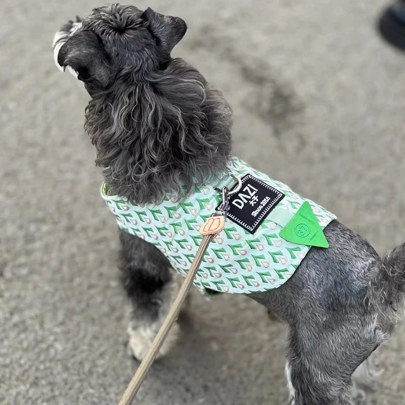 Arnés de lujo para perros pequeños, chaleco para perros de primavera y verano, Collar para Schnauzer, arnés ajustable de Pomerania para viajes de mascotas y paseo - imagen 3