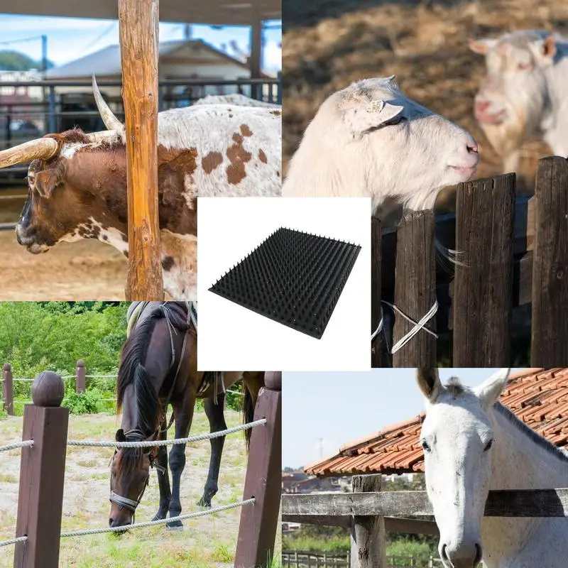 Rascador de ganado, cepillos de aseo para caballos, cepillos para rascar ganado para reducir la picazón en el - imagen 5