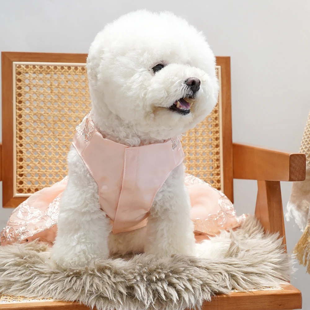 Vestido de novia de encaje para perros, vestidos de princesa para perros pequeños, falda tutú para cachorros, suministros de disfraces para fiesta de cumpleaños para mascotas para primavera y verano - imagen 2