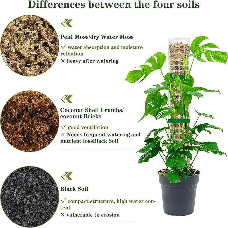 Columna de musgo de agua para plantas trepadoras, poste de musgo para interiores, poste de plástico para soporte de esfagnum, palos para plantas en macetas, Creeper, 2/4/6 Uds. - imagen 3
