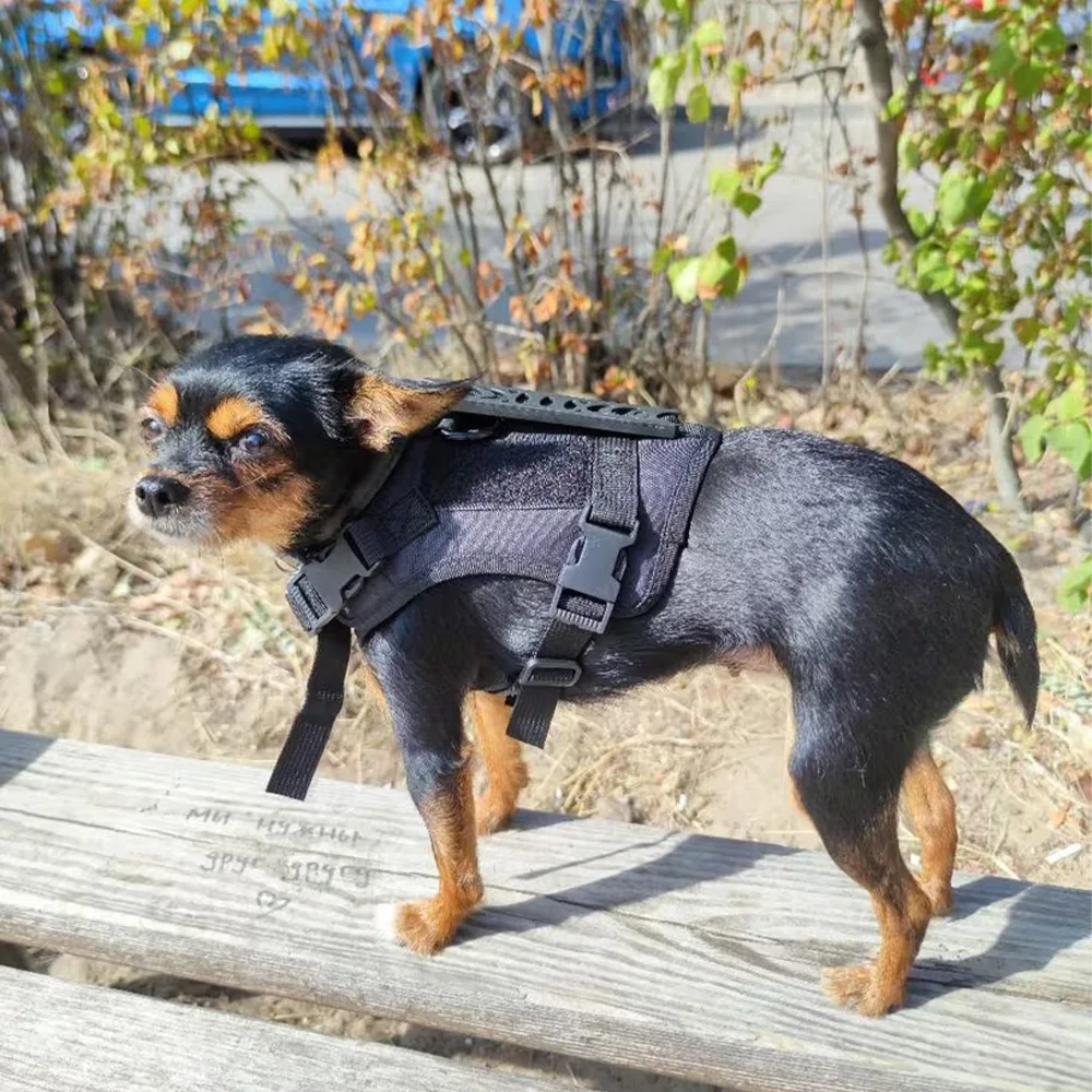 Arnés táctico antiescape con asa, correa para gatos y perros pequeños - imagen 3