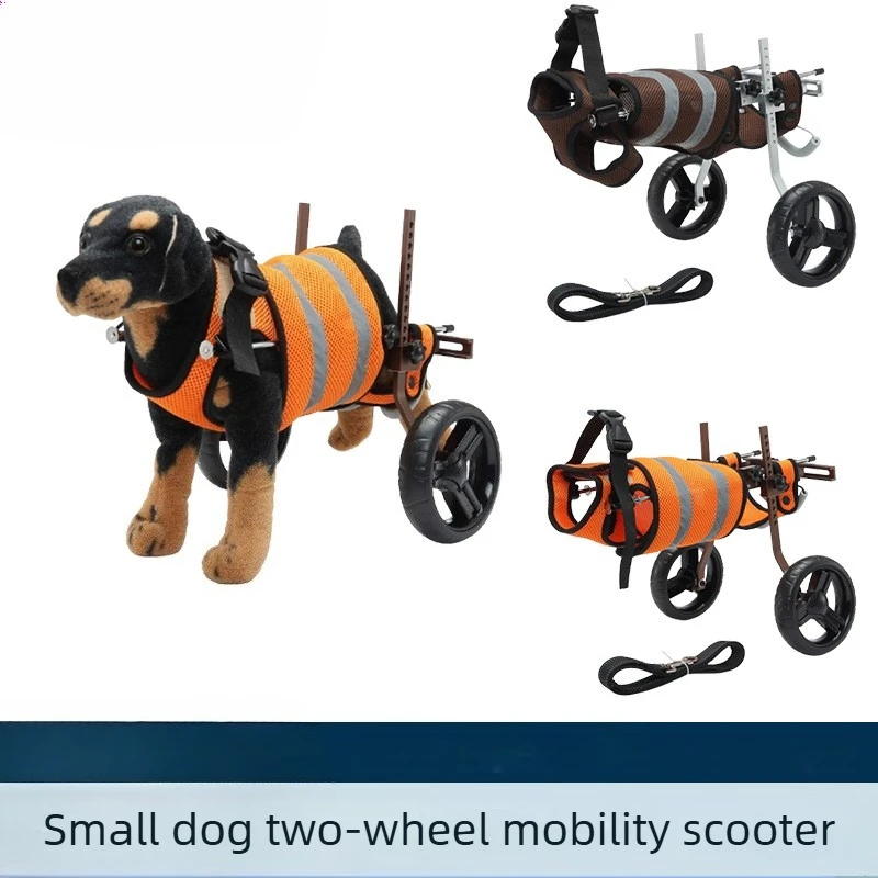 Silla de ruedas para perros pequeños y medianos – Rehabilitación