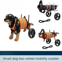 Silla de ruedas para perros pequeños y medianos – Rehabilitación