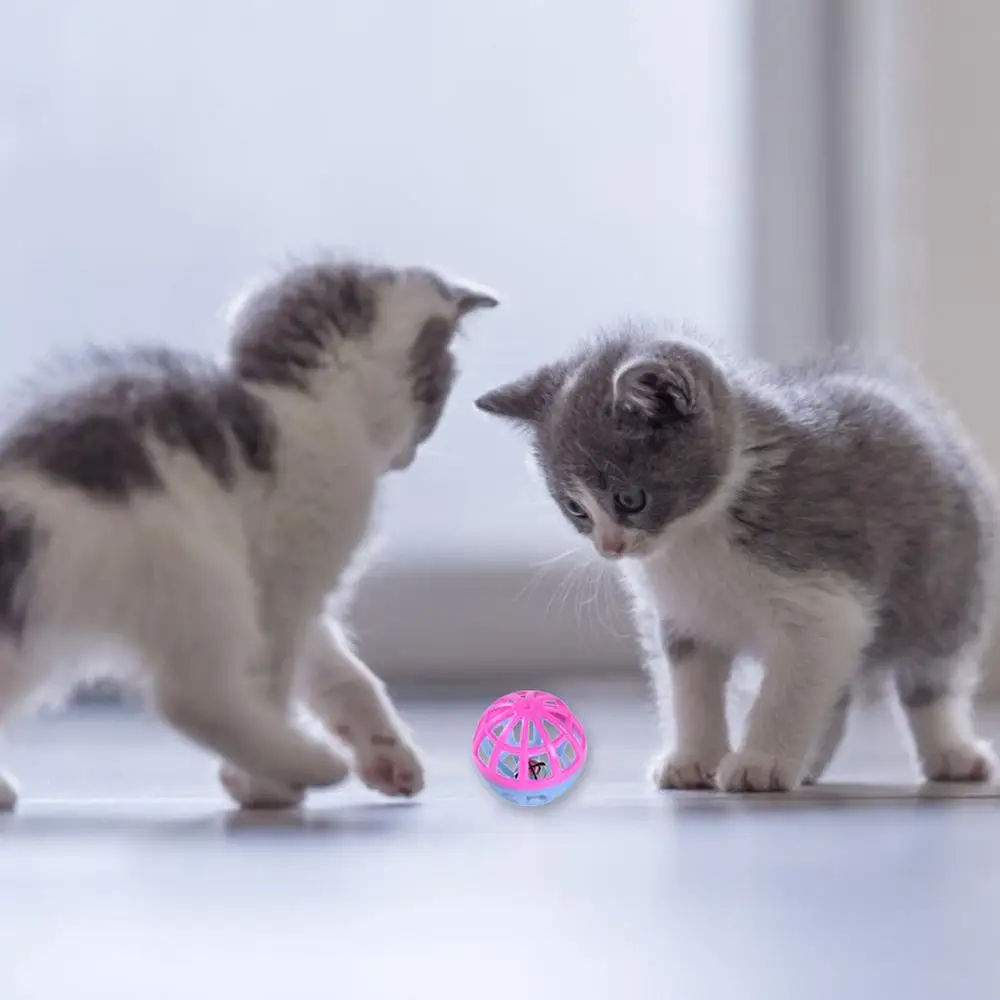 Dos gatitos jugando con una pelota rosa