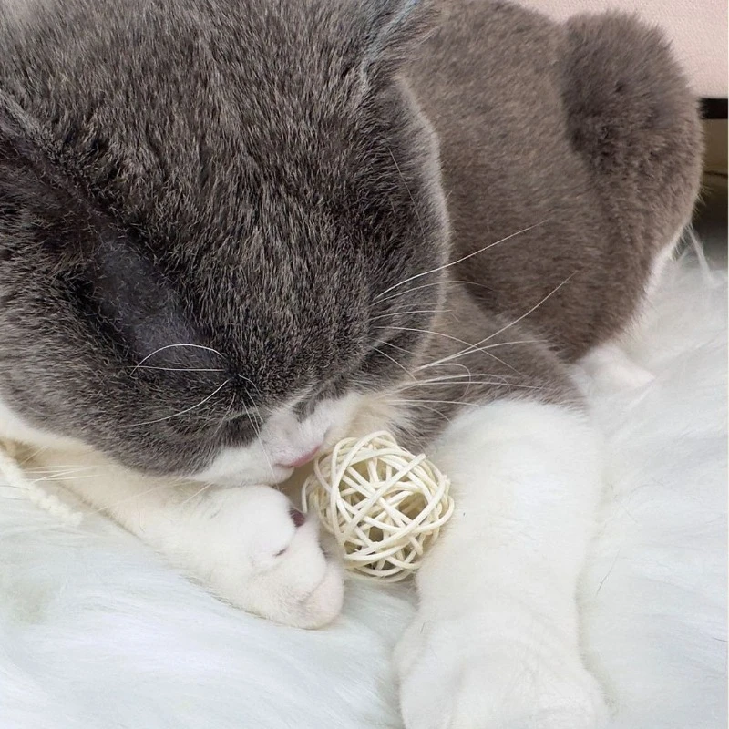 2 uds juguetes para gatos con plumas y campana, juego de anillos y bolas de ratán tejidas a mano para gatito, juego interactivo con sonido para autocalmante - imagen 3