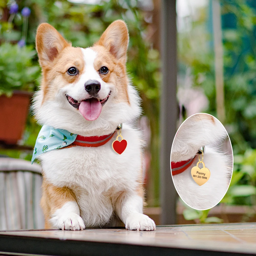 Etiqueta de identificación personalizada para perros y gatos, placa de identificación grabada gratis, colgante para Collar de mascotas, accesorios de corazón, Shpae - imagen 5