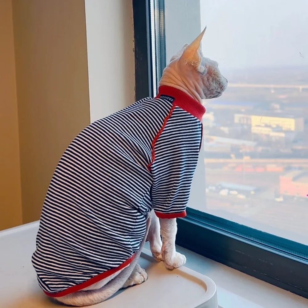 Ropa para gatos: camiseta primavera, pijama Devon Rex y abrigo Sphynx