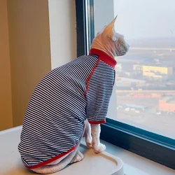 Ropa para gatos: camiseta primavera, pijama Devon Rex y abrigo Sphynx