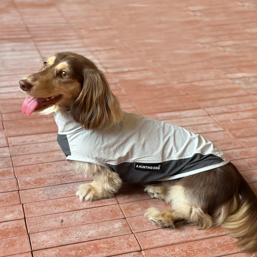 Ropa de protección solar para perros Wiener, abrigo UPF100 transpirable y ligero de verano para perros salchicha, chaqueta rosa para perros tejón - imagen 5