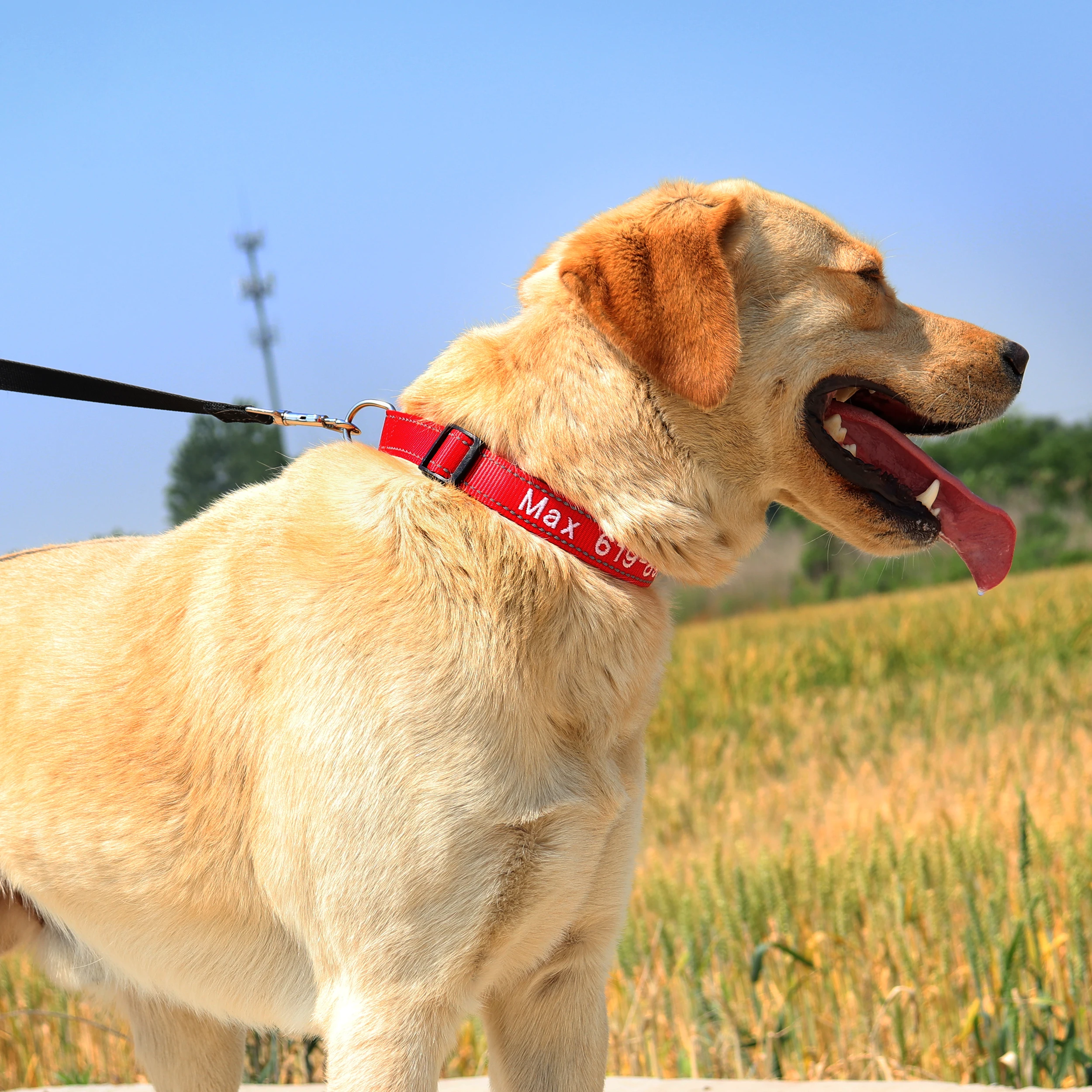 Collares de perro bordados de nailon personalizados Collar de nombre de identificación de cachorro personalizado para perros pequeños, medianos y grandes Collar ajustable para mascotas - imagen 5