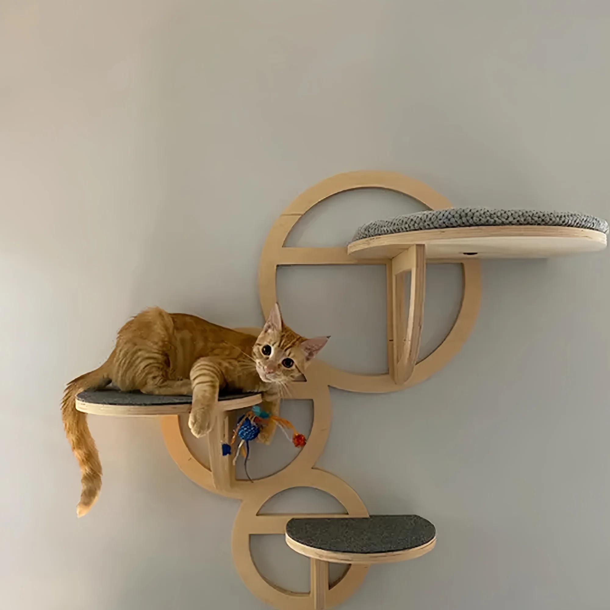 Estantes de pared circulares de madera resistentes para gatos, muebles de moda para gatos para descansar, explorar y jugar, punto montado en la pared para gatos de interior