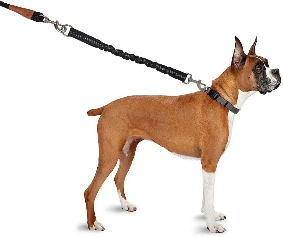 Correa Extensible para Perros: Ajustable y Retráctil - imagen 5