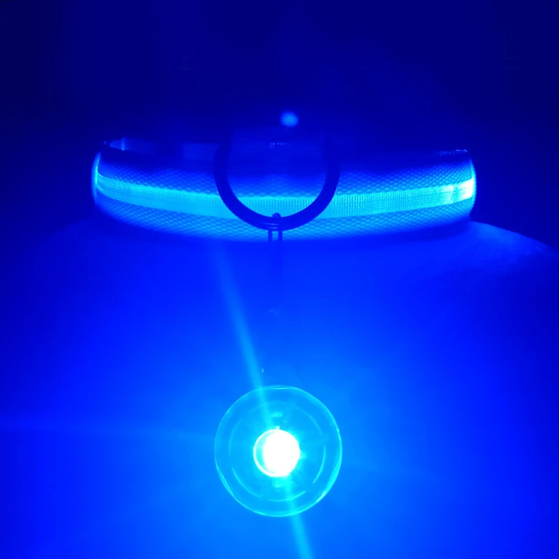 Collar LED recargable vs versión de batería - Opciones disponibles
