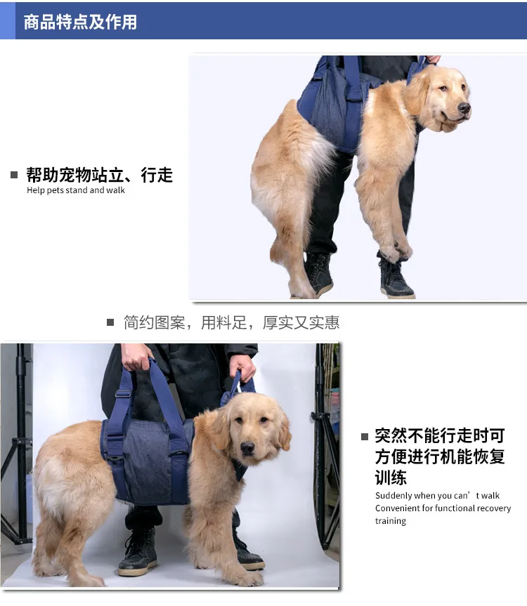 Auxiliary tape details page _10