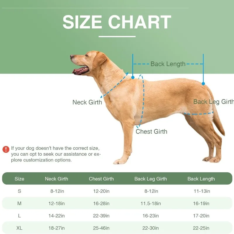 Equipo de protección para mascotas, chaleco de soporte para lesiones de disco para perros, productos para mascotas, correa para aliviar el dolor de fractura trasera, juego de suministros, accesorios derechos - imagen 5