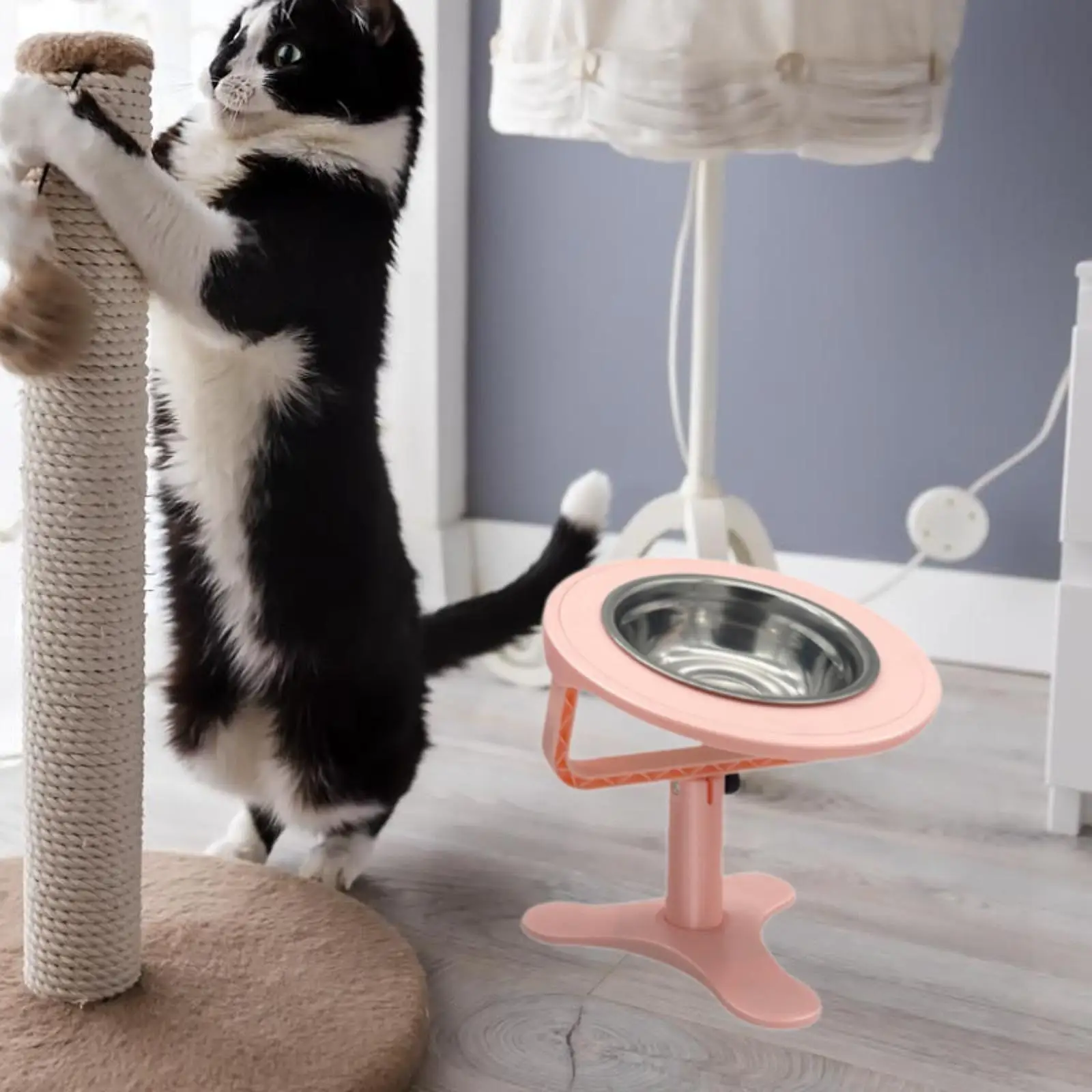 Raised Cat Bowls Dog Cat Feeder Versatile Sturdy Practical Pet Supplies Elevated Raised Dogs Bowl Stand for Dry and Wet Food