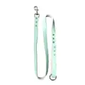 green leash