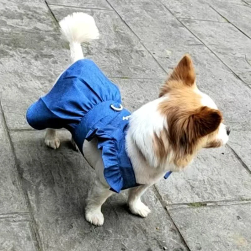 Vestido vaquero clásico con hebilla para perros pequeños, ropa vaquera para cachorros, Yorkshire, traje para mascotas, primavera y otoño - imagen 4