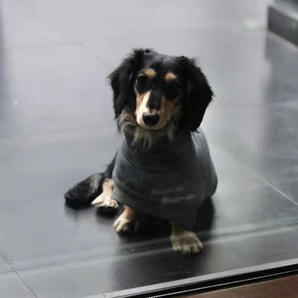 Suéter gris de moda para perros salchicha, sudadera cálida de manga corta para perros Wiener, abrigo suave para perros salchicha en invierno - imagen 2