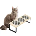 Cat Bowls