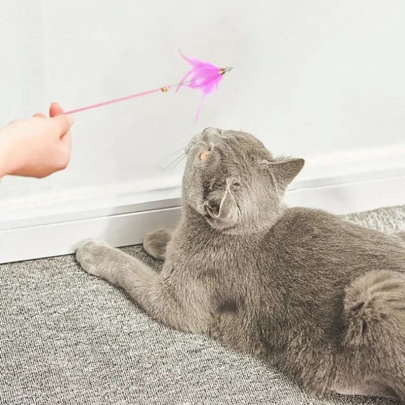Juguetes para gatos, palo de Teaser para gatos con plumas, juguetes interactivos para gatos con mango largo, juguete de Teaser para gatos con campana, juguete de burlas de plumas, productos para mascotas - imagen 3