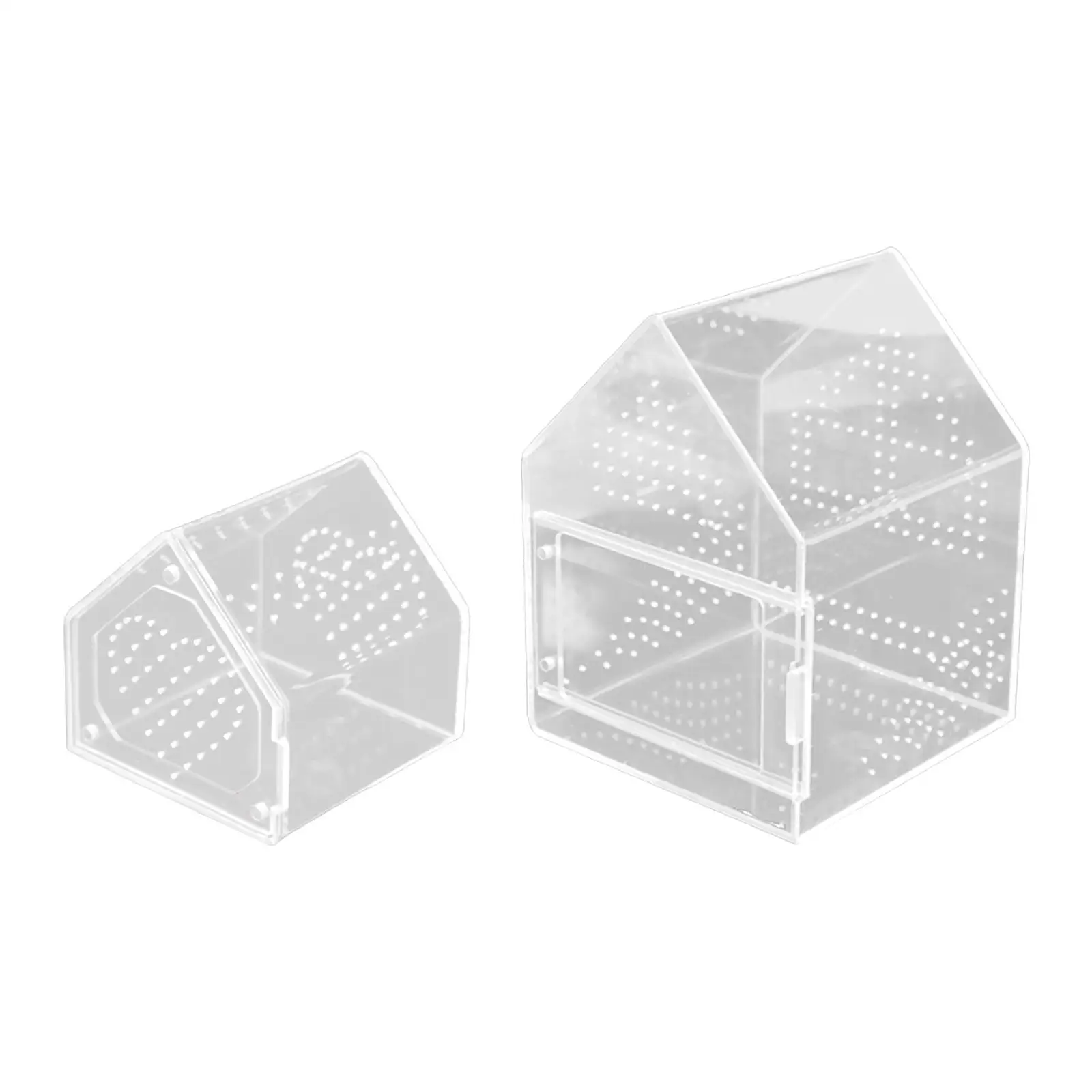 Terrario acrílico ventilado para tarántulas y arañas saltarinas - imagen 5