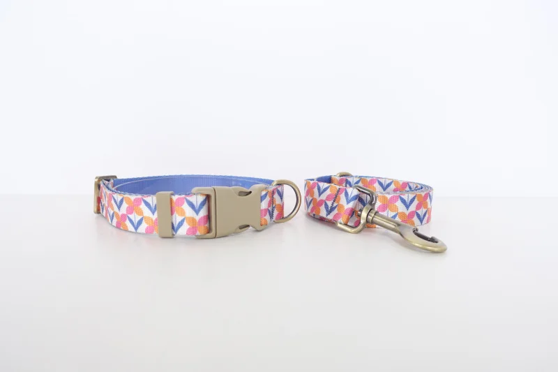 Collar y correa PLATTCO violeta con nudo de mariposa