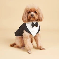 Traje elegante con bandana y pajarita para perros pequeños y medianos