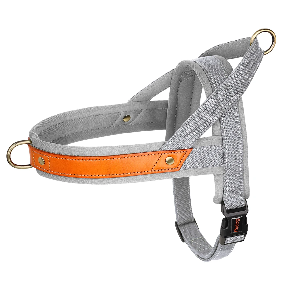 Gray Harness
