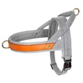 Gray Harness