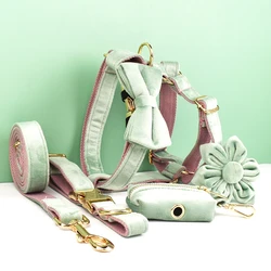 Collar terciopelo verde menta con correa y placa grabada para perros