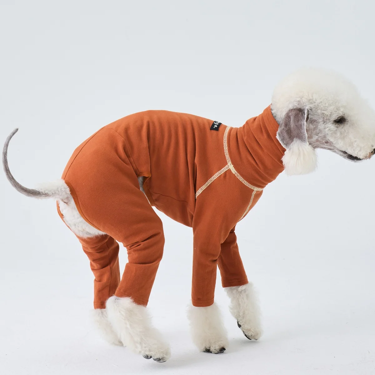 Camiseta interior café de algodón suave para Bellington Abrigo de primavera de cuatro patas para Little Greyhound Pijama naranja de cuello alto para perros medianos - imagen 5