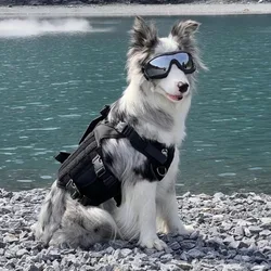 Gafas para perros de compañía - HD antivaho a prueba de viento a prueba de polvo transparente protección ocular de moda para perros pequeños actividades al aire libre