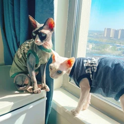 Camiseta verano para gatos Sphynx y Devon Rex – Algodón suave con rayas