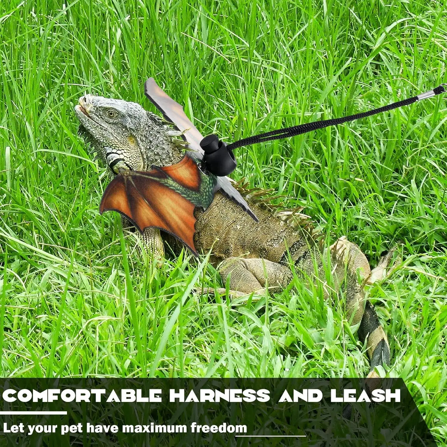 Arnés de correa de lagarto dragón barbudo, arnés ajustable de cuero fresco con ala de dinosaurio, arnés para reptiles, correa para lagarto dragón barbudo - imagen 4