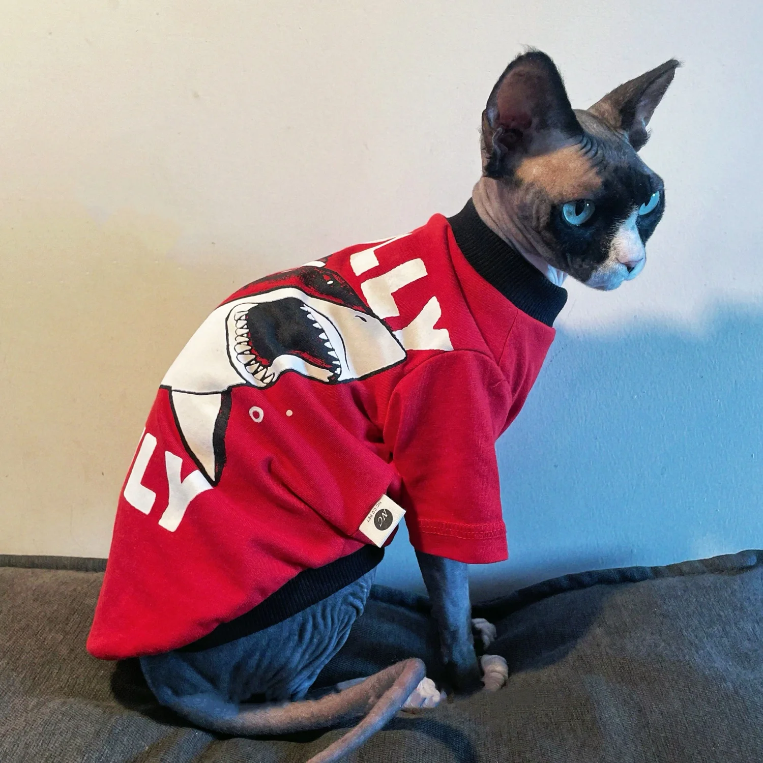 Camisetas deportivas de moda para el gato Sphynx en primavera Abrigo de manga larga para perros pequeños Mono de dibujos animados suave de verano para gatos machos Chaqueta hermosa para galgo italiano - imagen 5