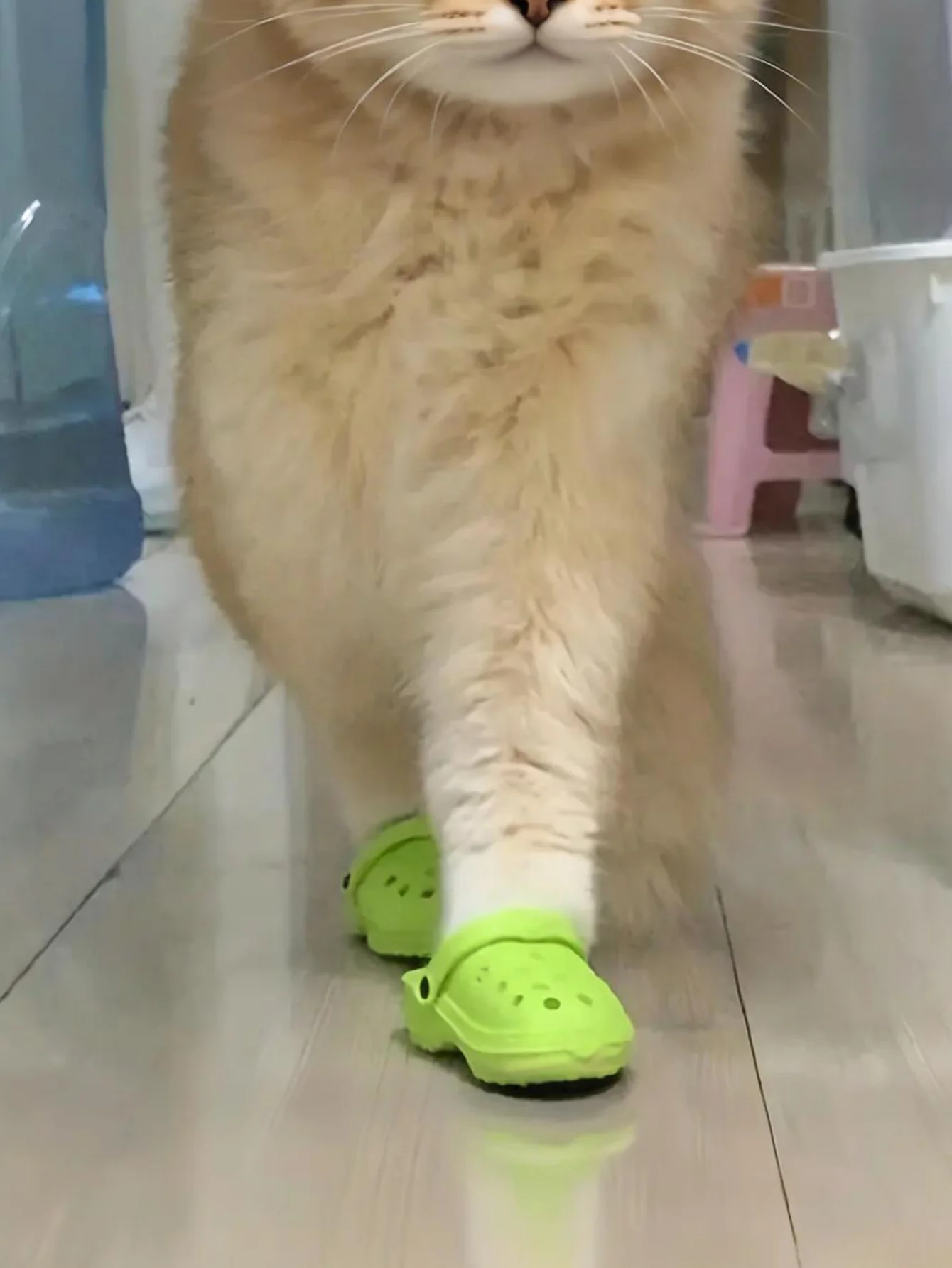 Zapatos antideslizantes transpirables para perros pequeños y gatitos - imagen 2