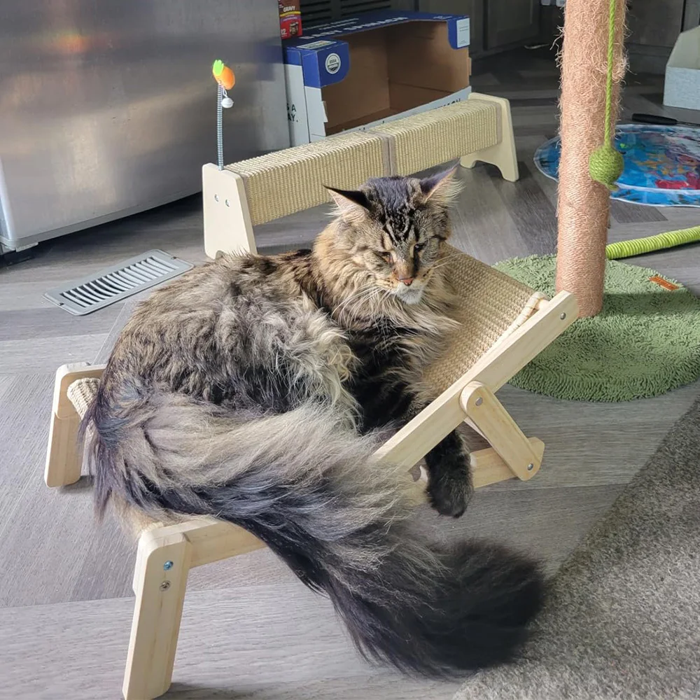 Silla cama elevada con marco de madera para gatos con rascador de Sisal, sillón plegable elevado para mascotas para gatos de interior para siesta y rascar