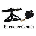 harness leash